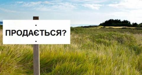 Рынок земли в Украине: риски и перспективы